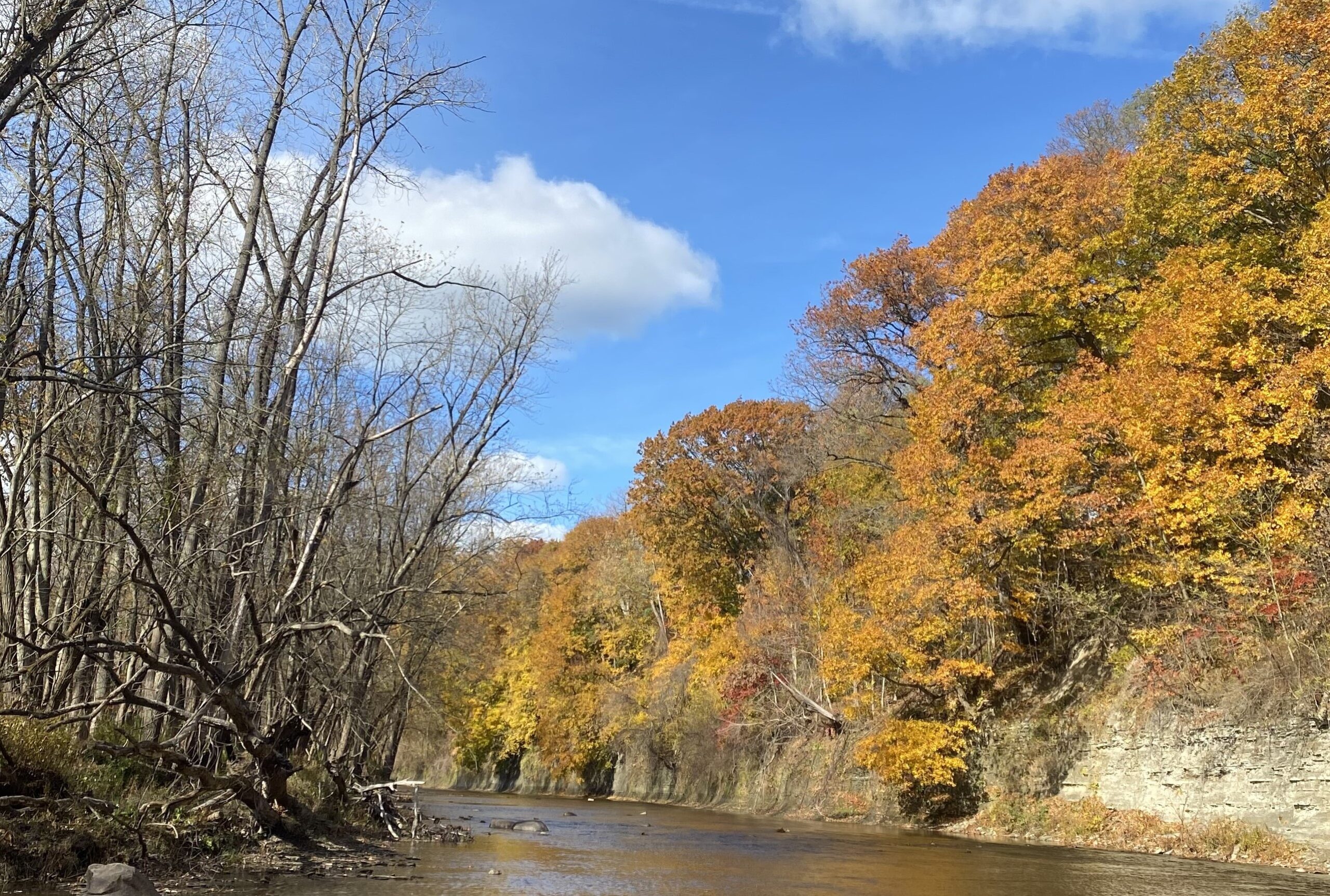 Conneaut Creek in November